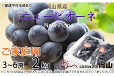 ぶどう 2025年 先行予約 ご家庭用 ニュー ピオーネ 3～6房 約2kg ブドウ 葡萄  岡山県産 国産 フルーツ 果物