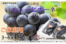 ぶどう 2025年 先行予約 ご家庭用 ニュー ピオーネ 3～6房 約1.5kg ブドウ 葡萄  岡山県産 国産 フルーツ 果物