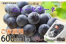 ぶどう 2025年 先行予約 ご家庭用 ニュー ピオーネ 約600g×1房 ブドウ 葡萄  岡山県産 国産 フルーツ 果物