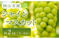 シャインマスカット 3～4房入り 合計約2kg ぶどう 葡萄 フルーツ 果物 岡山市産 2024年 | フルーツ 果物 くだもの シャインマスカット マスカット 岡山県産 国産 ギフト 贈答用 プレゼント 贈り物 シャインマスカット マスカット フルーツ 果物 くだもの シャインマスカット マスカット