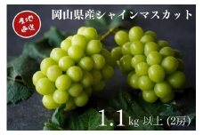 先行予約 2025年 厳選 シャインマスカット 2房 合計1.1kg以上 産地直送 朝採れ  Kawahara Green Farm 岡山県産 | フルーツ 果物 くだもの 厳選  シャインマスカット マスカット 朝採れ ぶどう ブドウ 葡萄  産地直送 岡山 岡山県産 国産 ギフト プレゼント 贈答用 果物 フルーツ シャインマスカット 葡萄 ぶどう ブドウ