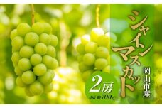 シャイン マスカット 2房（1房 約700g）  ぶどう フルーツ 果物 贈り物 ギフト 岡山 五果苑