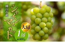 シャインマスカット 1房 約800g 大房 ぶどう フルーツ 果物 贈り物 ギフト 岡山 五果苑 | フルーツ 果物 くだもの シャインマスカット マスカット 岡山県産 国産 ギフト 贈答用 プレゼント 贈り物 シャインマスカット マスカット フルーツ 果物 くだもの シャインマスカット マスカット