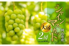 シャインマスカット 2房（1房約800g） 大房 ぶどう フルーツ 果物 贈り物 ギフト 岡山 五果苑 | フルーツ 果物 くだもの シャインマスカット マスカット 岡山県産 国産 ギフト 贈答用 プレゼント 贈り物 シャインマスカット マスカット フルーツ 果物 くだもの シャインマスカット マスカット