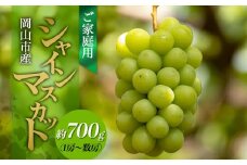 ご家庭用 シャインマスカット 約700g（1房～数房） ぶどう フルーツ 果物 岡山 五果苑 | フルーツ 果物 くだもの シャインマスカット マスカット 岡山県産 国産 ご家庭用 シャインマスカット マスカット フルーツ 果物 くだもの シャインマスカット マスカット