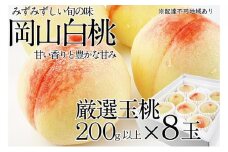 桃 2025年 先行予約 岡山の白桃 200g以上×8玉 | 白桃 旬 みずみずしい 晴れの国 おかやま 岡山県産 フルーツ王国 果物王国
