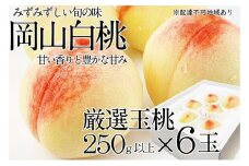 桃 2025年 先行予約 岡山の白桃 250g以上×6玉 | 白桃 旬 みずみずしい 晴れの国 おかやま 岡山県産 フルーツ王国 果物王国