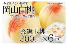 桃 2025年 先行予約 岡山の白桃 300g以上×6玉 | 白桃 旬 みずみずしい 晴れの国 おかやま 岡山県産 フルーツ王国 果物王国