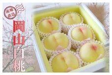 桃 2025年 先行予約 贈答用 岡山 清水 白桃  約2kg（5～7玉） もも モモ 岡山県 岡山市産 国産 フルーツ 果物 ギフト