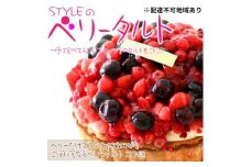 フレッシュタルト 専門店 「STYLE」 ベリー タルト 1個（5号 15cm 860g） 贅沢なサクサク 濃厚 クリーム 極上 デザート