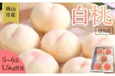桃 2026年 贈答用 岡山 白桃 5玉～６玉 1.5kg 前後 もも 岡山県産 国産 フルーツ 果物 ギフト 雅桃園