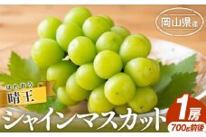 シャイン マスカット 2025年 先行予約 晴王 1房 700g前後 マスカット ブドウ 葡萄  岡山県産 国産 フルーツ 果物 ギフト
