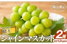 シャインマスカット 2025年 先行予約 晴王 2房 合計1.2kg前後  | フルーツ 果物 くだもの ぶどう ブドウ シャインマスカット 晴王 国産 岡山県産 食品 人気 おすすめ 送料無料 ギフト 贈り物 贈答品 プレゼント 果物 くだもの フルーツ ぶどう ブドウ シャインマスカット 晴王
