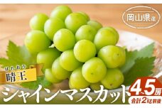 シャインマスカット 2025年 先行予約 晴王 4～5房 合計2.0kg前後  | フルーツ 果物 くだもの ぶどう ブドウ シャインマスカット 晴王 国産 岡山県産 食品 人気 おすすめ 送料無料 ギフト 贈り物 贈答品 プレゼント 果物 くだもの フルーツ ぶどう ブドウ シャインマスカット 晴王
