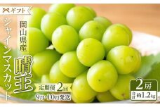 ぶどう 2025年 先行予約 9月・10月発送 シャイン マスカット 晴王 2房（合計約1.2kg） ブドウ 葡萄  岡山県産 国産 フルーツ 果物 ギフト