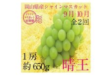 【定期便 全2回】ぶどう 2024年 先行予約 9月・10月発送 シャイン マスカット 晴王 1房 約650g ブドウ 葡萄  岡山県産 国産 フルーツ 果物 ギフト
