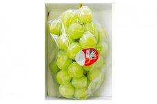 ぶどう 2025年 先行予約 特選 桃太郎 ぶどう 1房 約700g ｜フルーツ 果物 くだもの 食品 人気 特産 特産品 おすすめ 特選 送料無料 ぶどう 2025年 先行予約 桃太郎 ぶどう 1房 約700g ブドウ 葡萄 岡山県産 国産 フルーツ 果物 ギフト 果物類 いろは堂