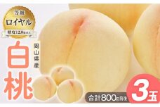 桃 2025年 先行予約 白桃 3玉入り 等級: ロイヤル 糖度12.0度以上 合計800g前後 もも モモ 岡山県産 国産 フルーツ 果物 ギフト