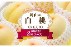 桃 定期便 2025年 先行予約 岡山 の 白桃 6玉 合計1.6kg以上×2回 お届け 化粧箱入り もも モモ 岡山産 国産 フルーツ 果物 ギフト