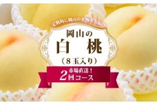 桃 定期便 2025年 先行予約 岡山 の 白桃 8玉 合計1.7kg以上×2回 お届け 化粧箱入り もも モモ 岡山産 国産 フルーツ 果物 ギフト
