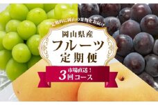 ぶどう 梨 定期便 2025年 先行予約 フルーツ王国 岡山を堪能 定期便 3回コース 葡萄 ぶどう 梨 なし 岡山県産 国産 果物 セット ギフト