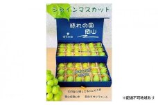 ぶどう 2025年 先行予約 シャイン マスカット 大粒のみ 36粒 ＪＥＷＥＬＢＯＸ ギフト 贈り物 岡山 国産 果物 フルーツ シャイン マスカット