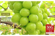 ぶどう 2025年 先行予約 シャインマスカット 秀品 約500g 1房 農林大臣賞受賞  2025年6月下旬から発送 | フルーツ 果物 くだもの シャインマスカット マスカット 岡山県産 国産 ギフト 贈答用 プレゼント 贈り物 シャインマスカット マスカット フルーツ 果物 くだもの シャインマスカット マスカット