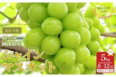 ぶどう 2025年 先行予約 シャインマスカット 秀品 約5kg 合計8～12房 農林大臣賞受賞 2025年6月下旬から発送 | フルーツ 果物 くだもの シャインマスカット マスカット 岡山県産 国産 ギフト 贈答用 プレゼント 贈り物 シャインマスカット マスカット フルーツ 果物 くだもの シャインマスカット マスカット