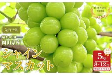 ぶどう 2025年 先行予約 シャインマスカット 厳選 秀品 約5kg 合計8～12房 農林大臣賞受賞 2025年7月上旬から発送 | フルーツ 果物 くだもの シャインマスカット マスカット 厳選 岡山県産 国産 ギフト 贈答用 プレゼント 贈り物 シャインマスカット マスカット フルーツ 果物 くだもの シャインマスカット マスカット
