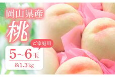 桃 2025年 先行予約 ご家庭用 おかやまの桃 約1.3kg （5～6玉） もも モモ 岡山県産 国産 フルーツ 果物