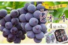 ぶどう 2025年 先行予約 岡山県産 ニューピオーネ 4房 約2kg 先行予約 贈答 ぶどう園AC