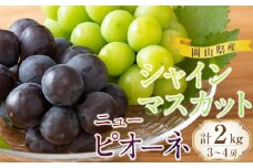 ぶどう 2025年 岡山県産 シャインマスカット・ピオーネ 2種 詰め合わせ 計2kg（3～4房）ぶどう園AC | フルーツ 果物 くだもの ぶどう ブドウ シャインマスカット ピオーネ 国産 岡山県産 食品 人気 おすすめ 先行予約 送料無料 ギフト 贈り物 贈答品 プレゼント ぶどう ブドウ シャインマスカット ピオーネ