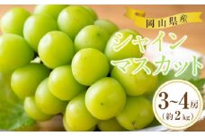 ぶどう 2025年 岡山県産 シャインマスカット 3房～4房 約2kg 先行予約 贈答 ぶどう園AC | フルーツ 果物 くだもの ぶどう ブドウ シャインマスカット 国産 岡山県産 食品 人気 おすすめ 先行予約 送料無料 ギフト 贈り物 贈答品 プレゼント 果物 くだもの フルーツ ぶどう ブドウ シャインマスカット