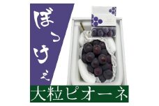ぶどう 2025年 先行予約 岡山県産 ぼっけえ大粒！ ピオーネ 1房 800g以上 化粧箱入り