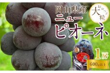 ぶどう 2025年 先行予約 岡山県産 大粒 ニューピオーネ 1房（600g以上）農園直送 朝採れ