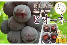 ぶどう 2025年 先行予約 岡山県産  大粒 ニューピオーネ 2kg（4房～5房）農園直送 朝採れ