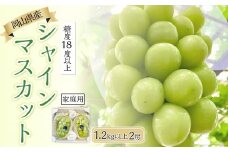 ぶどう 2025年 先行予約 糖度18度以上 岡山県産 シャインマスカット 1.2kg以上 2房 家庭用＜9月以降発送＞ | フルーツ 果物 くだもの シャインマスカット マスカット 葡萄 ぶどう ブドウ ご家庭用 岡山県産 シャインマスカット マスカット フルーツ 果物 くだもの シャインマスカット