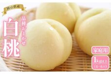桃 2025年 先行予約 岡山県産 ご家庭用 白桃 1kg以上（4～6玉） 品種おまかせ＜6月下旬以降発送＞