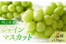 ぶどう 2025年 先行予約 岡山県産 シャインマスカット 2房 計1.2kg以上＜ジューシーで上品な甘みと高貴な香り＞ | フルーツ 果物 くだもの 葡萄 ブドウ ぶどう シャインマスカット 岡山 岡山県産 国産 贈答用 ギフト プレゼント ジューシー 上品 フルーツ 果物 くだもの