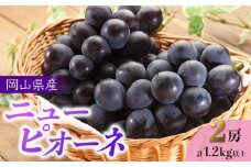 ぶどう 2025年 先行予約 岡山県産 ニューピオーネ 2房 計1.2kg以上＜ジューシーで上品な甘みと高貴な香り＞