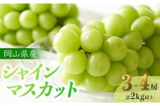 ぶどう 2025年 先行予約 岡山県産 シャインマスカット 3～4房 計2kg以上＜ジューシーで上品な甘みと高貴な香り＞ | フルーツ 果物 くだもの 葡萄 ブドウ ぶどう シャインマスカット 岡山 岡山県産 国産 贈答用 ギフト プレゼント ジューシー 上品 フルーツ 果物 くだもの