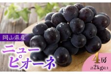 ぶどう 2025年 先行予約 岡山県産 ニューピオーネ 4房 計2kg以上＜ジューシーで上品な甘みと高貴な香り＞