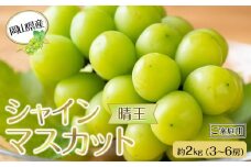岡山県産 ぶどう 2025年発送 ご家庭用 シャインマスカット 晴王 約2kg（3～6房）｜フルーツ 果物 くだもの ぶどう ブドウ シャインマスカット 晴王 ご家庭用 国産 岡山県産 食品 人気 おすすめ 先行予約 送料無料 ギフト 贈り物 贈答品 プレゼント 果物 くだもの フルーツ ぶどう ブドウ シャインマスカット 晴王