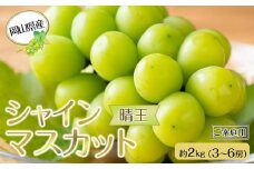 岡山県産 ぶどう 2025年発送 ご家庭用 シャインマスカット 晴王 約2kg（3～6房）｜フルーツ 果物 くだもの ぶどう ブドウ シャインマスカット 晴王 ご家庭用 国産 岡山県産 食品 人気 おすすめ 先行予約 送料無料 ギフト 贈り物 贈答品 プレゼント 果物 くだもの フルーツ ぶどう ブドウ シャインマスカット 晴王