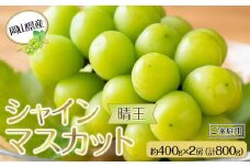 岡山県産 ぶどう  2025年発送 ご家庭用 シャインマスカット 晴王 約400g×2房 計800g ｜フルーツ 果物 くだもの ぶどう ブドウ シャインマスカット 晴王 ご家庭用 国産 岡山県産 食品 人気 おすすめ 先行予約 送料無料 ギフト 贈り物 贈答品 プレゼント 果物 くだもの フルーツ ぶどう ブドウ シャインマスカット 晴王