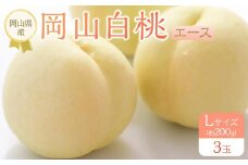 岡山県産 桃 岡山白桃 2025年 先行予約 エース 3玉×約200g 計600g Lサイズ もも モモ フルーツ 果物 ギフト