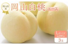 岡山県産 桃 岡山白桃 2026年 エース 3玉×約200g 計600g Lサイズ 【白桃 桃 もも 果物 フルーツ 新鮮 岡山県産 おすすめ 人気 ギフト 岡山県 岡山市】