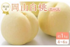 岡山県産 桃 岡山白桃 2025年 先行予約 エース 約1kg（4～6玉）もも モモ フルーツ 果物 ギフト