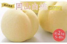 岡山県産 桃 岡山白桃 2025年 先行予約 ロイヤル 約2kg（5～10玉）もも モモ フルーツ 果物 ギフト