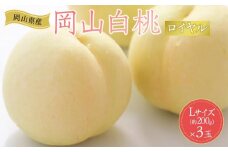 岡山県産 桃 岡山白桃 2025年 先行予約 ロイヤル 3玉×約200g 計600g Lサイズ もも モモ フルーツ 果物 ギフト